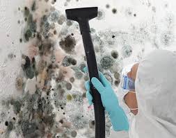 Best Basement Mold Removal  in Wisr, NE